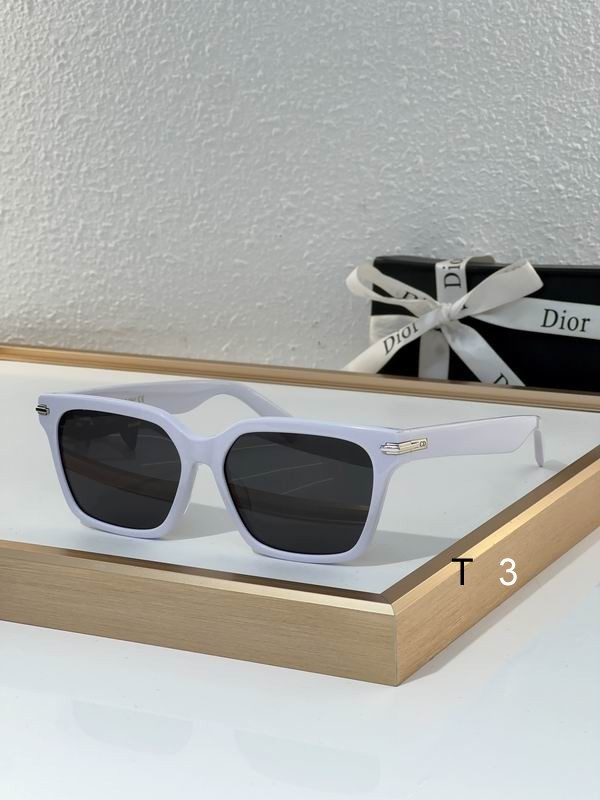 DIOR Sunglasses 563